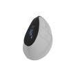 NATEC Wireless Mouse EUPHONIE PRO BT 5.0 2400DPI