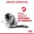 Royal Canin Hairball Care cats dry food 10 kg Adult Corn, Poultry, Rice, Vegetable
