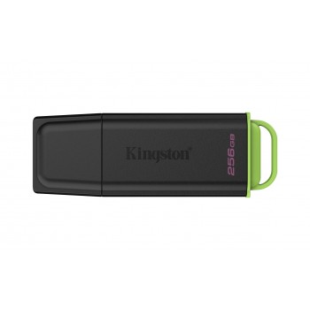Kingston Technology DataTraveler 256GB Portable USB 3.2 Gen 1 Exodia Black/Green
