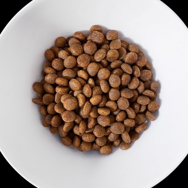 VET RESPONSE Hypoallergenic - dry dog food - 8kg VET RESPONSE Hypoallergenic - dry dog food - 8kg