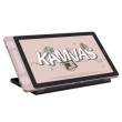 HUION Kamvas 13 graphic tablet Pink 5080 lpi 293.76 x 165.24 mm USB