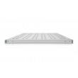 Digitus Shelf with Variable Rails for Fixed Mounting in 483 mm (19