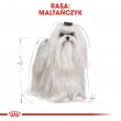 ROYAL CANIN Maltese Adult - dry dog food - 1,5 kg