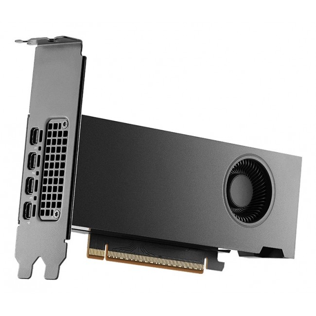 NVIDIA PNY RTX PRO 2000 Blackwell - 16 GB GDDR7 graphics card