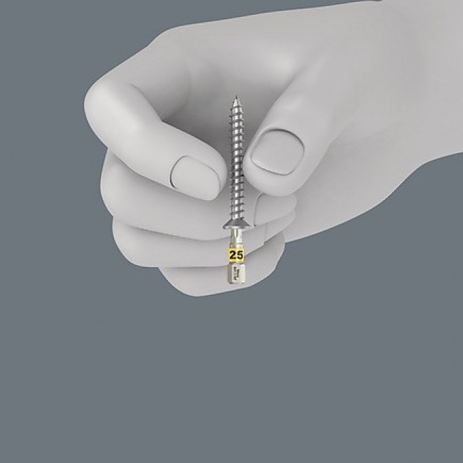 Wera 05073641001 screwdriver bit 10 pc(s) Wera 05073641001 screwdriver bit 10 pc(s)