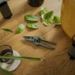 Plant Care Set for Plants 3 pcs Plant Care Set for Plants 3 pcs
