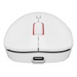 GENESIS Zircon XIII white