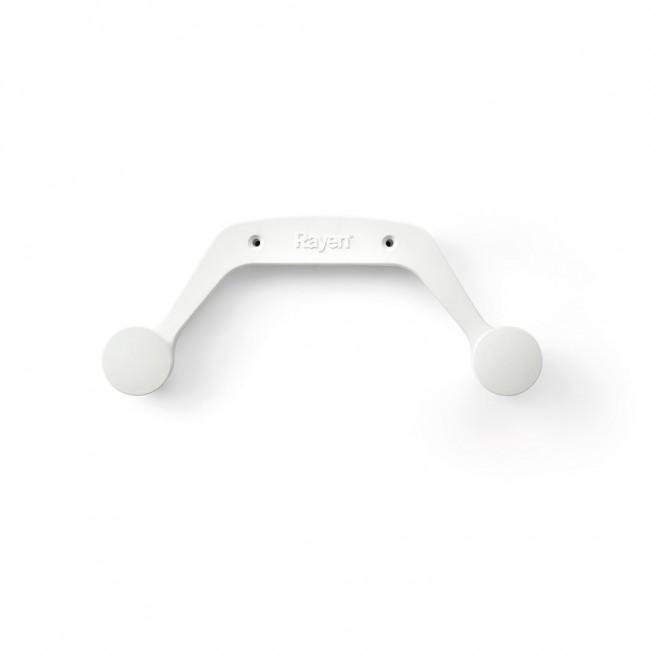 Ironing board holder and Rayen iron