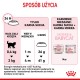 Royal Canin Mother & Babycat cats dry food 2 kg Royal Canin Mother & Babycat cats dry food 2 kg