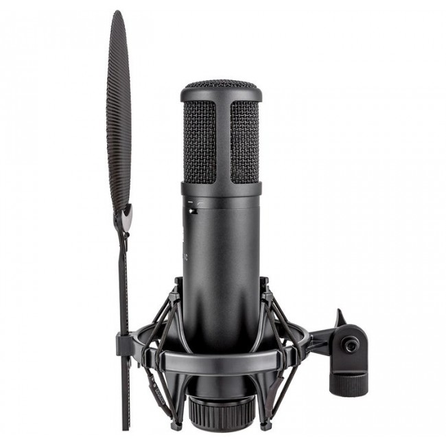sE Electronics sE2200 Black Studio microphone