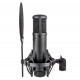 sE Electronics sE2200 Black Studio microphone