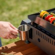 Black+Decker BXOP4900E 2-burner gas barbecue