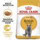 ROYAL CANIN British Shorthair - dry cat food - 2 kg ROYAL CANIN British Shorthair - dry cat food - 2 kg