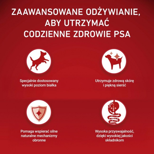 PURINA One Sensitive Mini/Small Rich in beef with rice - dry dog food - 1,5kg