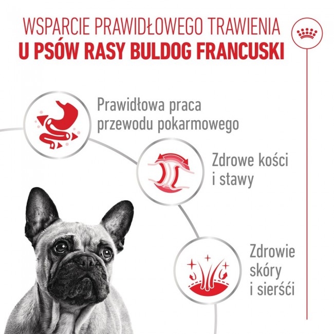 ROYAL CANIN French Bulldog Adult wet food for dogs 12x85g ROYAL CANIN French Bulldog Adult wet food for dogs 12x85g