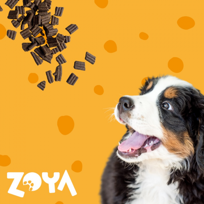 ZOYA ColdPRO Lamb - dry dog food - 1kg ZOYA ColdPRO Lamb - dry dog food - 1kg