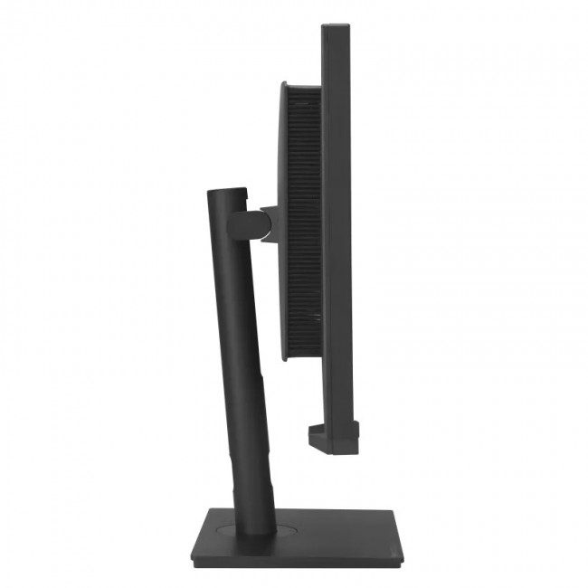 ASUS ProArt Display PA32UCXR computer monitor 81.3 cm (32