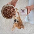 PAKA ZWIERZAKA Turkey and cranberries - wet dog food - 150g