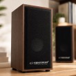 Esperanza 2.0 FOLK speaker set 2.0 channels 6 W Wood