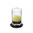 GEFU 18910 jar Acrylonitrile butadiene styrene (ABS), Glass, Silicone, Stainless steel Black