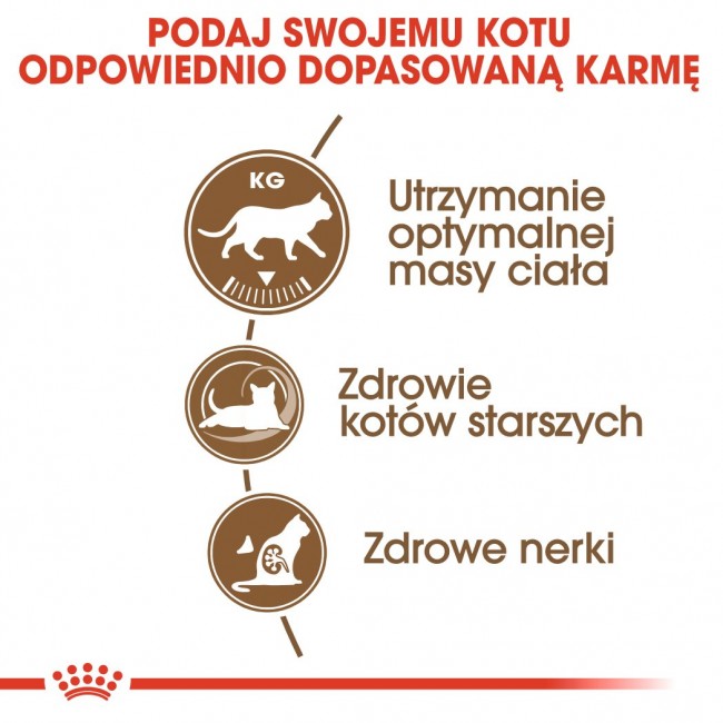 Royal Canin Senior Ageing Sterilised 12+ cats dry food 4 kg Corn, Poultry, Vegetable Royal Canin Senior Ageing Sterilised 12+ cats dry food 4 kg Corn, Poultry, Vegetable