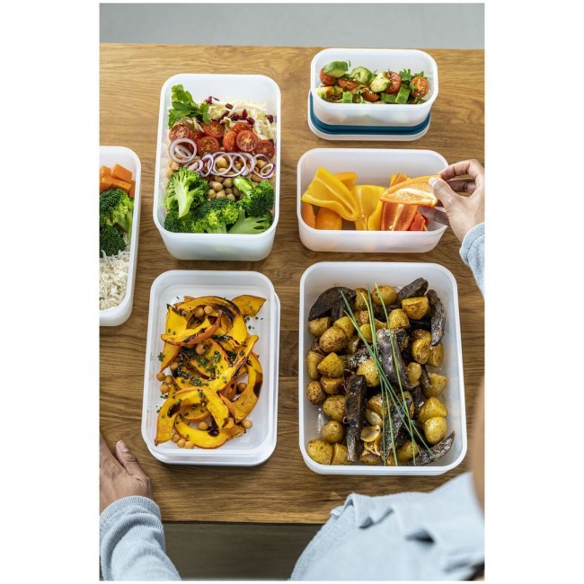 Plastic Starter Kit L Zwilling Fresh & Save