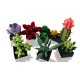 LEGO ICONS 10309 SUCCULENTS LEGO ICONS 10309 SUCCULENTS