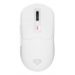GENESIS NMG-2194 mouse Gaming Ambidextrous Bluetooth + USB Type-C Optical 26000 DPI