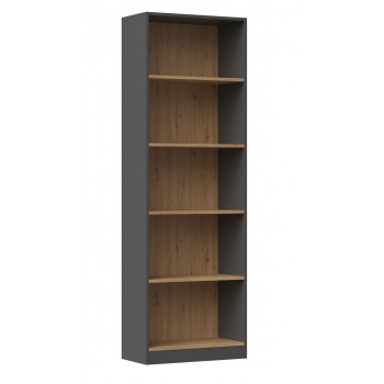 Topeshop R60 ANT/ART office bookcase