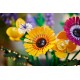 LEGO ICONS 10313 WINDFLOWER BOUQUET