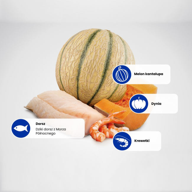 FARMINA N&D Ocean Cat Cod, Shrimp, Pumpkin and Cantaloupe Melon Kitten - dry cat food - 1.5 kg