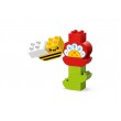 LEGO DUPLO 10444 Creative Garden and Flowers
