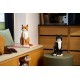 LEGO IDEAS 21376 Orange Cat