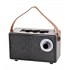 Bluetooth speaker Camry CR 1902B