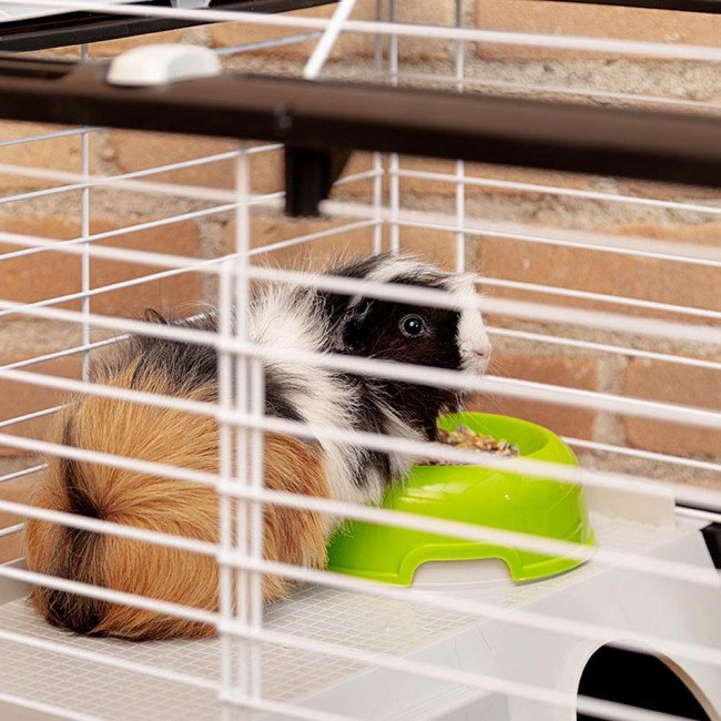 FERPLAST Casita 80 - cage for guinea pig and rabbit FERPLAST Casita 80 - cage for guinea pig and rabbit