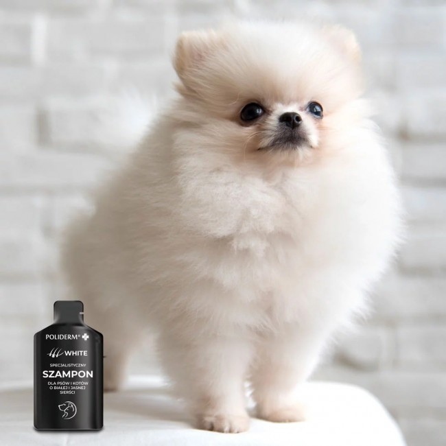 JM SANTE Poliderm White - shampoo for dog and cat - 15 ml