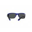 POLAROID PLD 2135/S D5164M9 sunglasses
