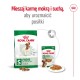 ROYAL CANIN Adult Mini S - dry dog food - 2kg ROYAL CANIN Adult Mini S - dry dog food - 2kg
