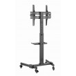 Gembird TVS-55T-01 TV floor stand with caster wheels (tilt), 32
