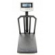 PLATFORM SCALE WT-1040 300 KG PLATFORM SCALE WT-1040 300 KG