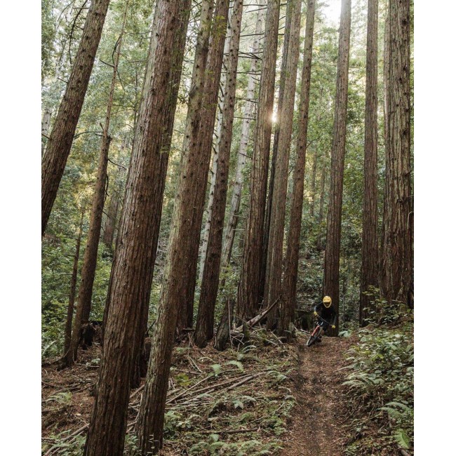 POC VPD System Torso Chest & Back Protector