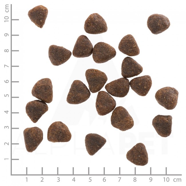 WOLFSBLUT Wide Plain Horse - dry dog food - 2kg