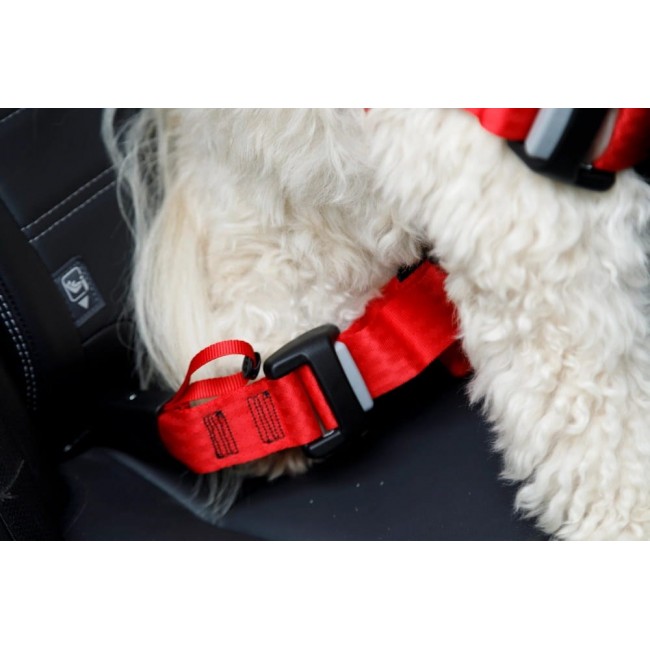 ZOLUX Travel Safe M red - dog harness