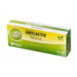 VETFOOD Amylactiv Balance - supplements for dogs and cats - 60pcs