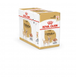 ROYAL CANIN Chihuahua - pack 12x85g ROYAL CANIN Chihuahua - pack 12x85g