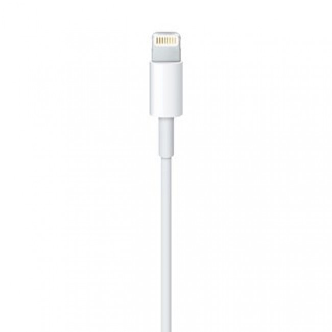 Apple Lightning to USB Cable (0.5 m)
