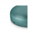Bang & Olufsen BeoSound A1 3rd Gen Stereo portable speaker Green 60 W