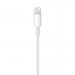 Apple Lightning to USB Cable (1 m) Apple Lightning to USB Cable (1 m)
