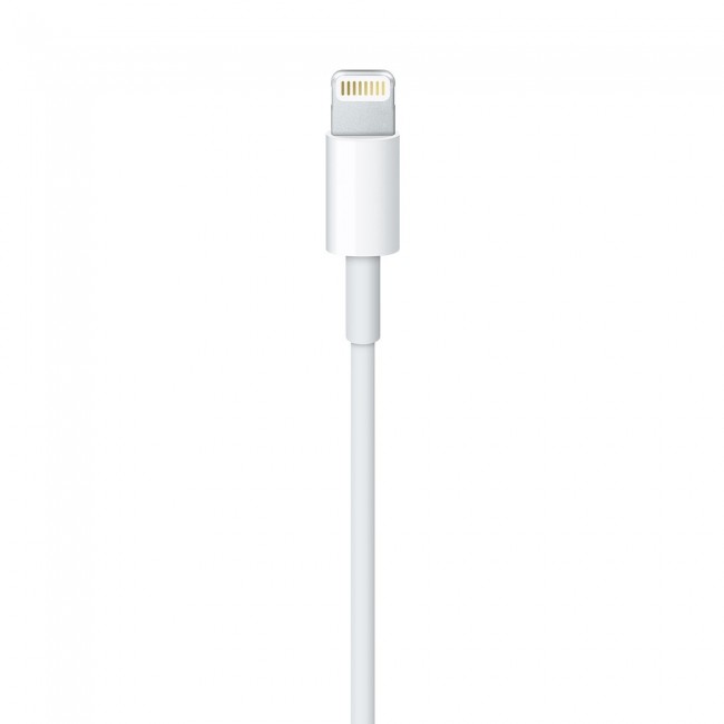 Apple Lightning to USB Cable (1 m) Apple Lightning to USB Cable (1 m)