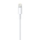 Apple Lightning to USB Cable (1 m) Apple Lightning to USB Cable (1 m)